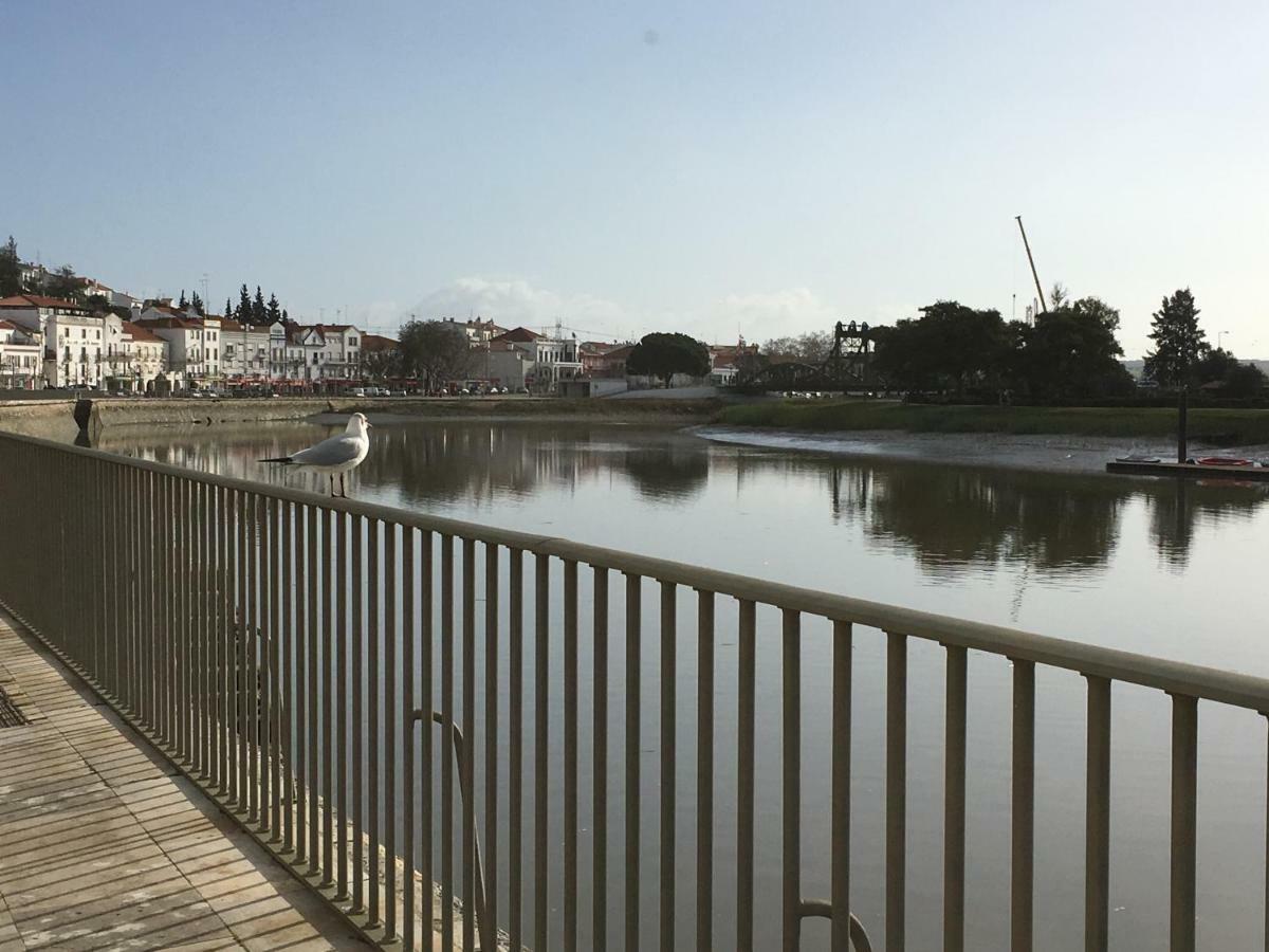 Alcacer River Apartment Alcácer do Sal Екстериор снимка